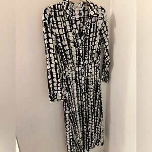 Zara Shirt Dress
